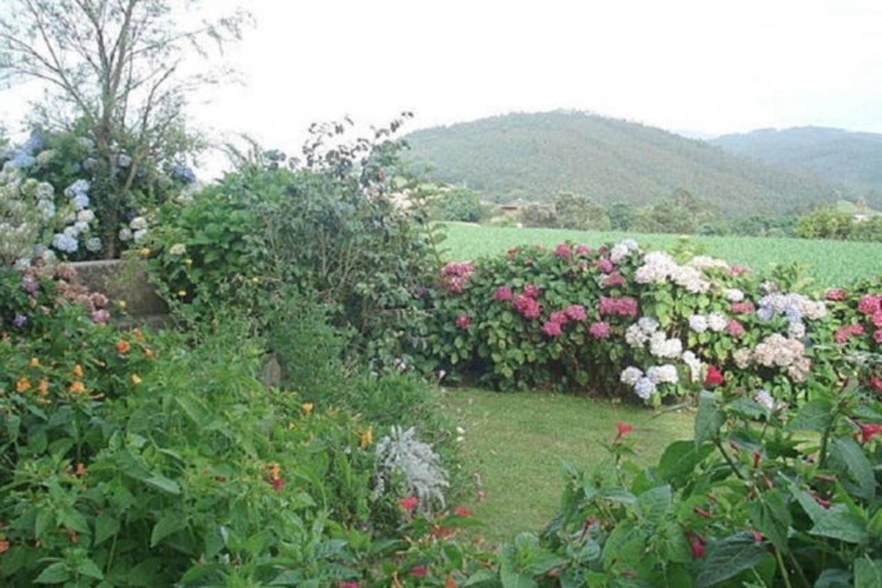 Las Golondrinas Casiellas Luaran gambar