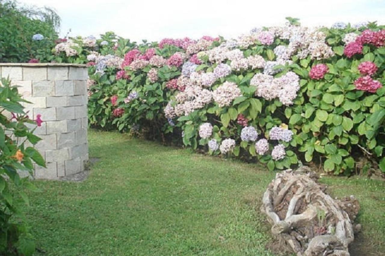 Las Golondrinas Casiellas Luaran gambar