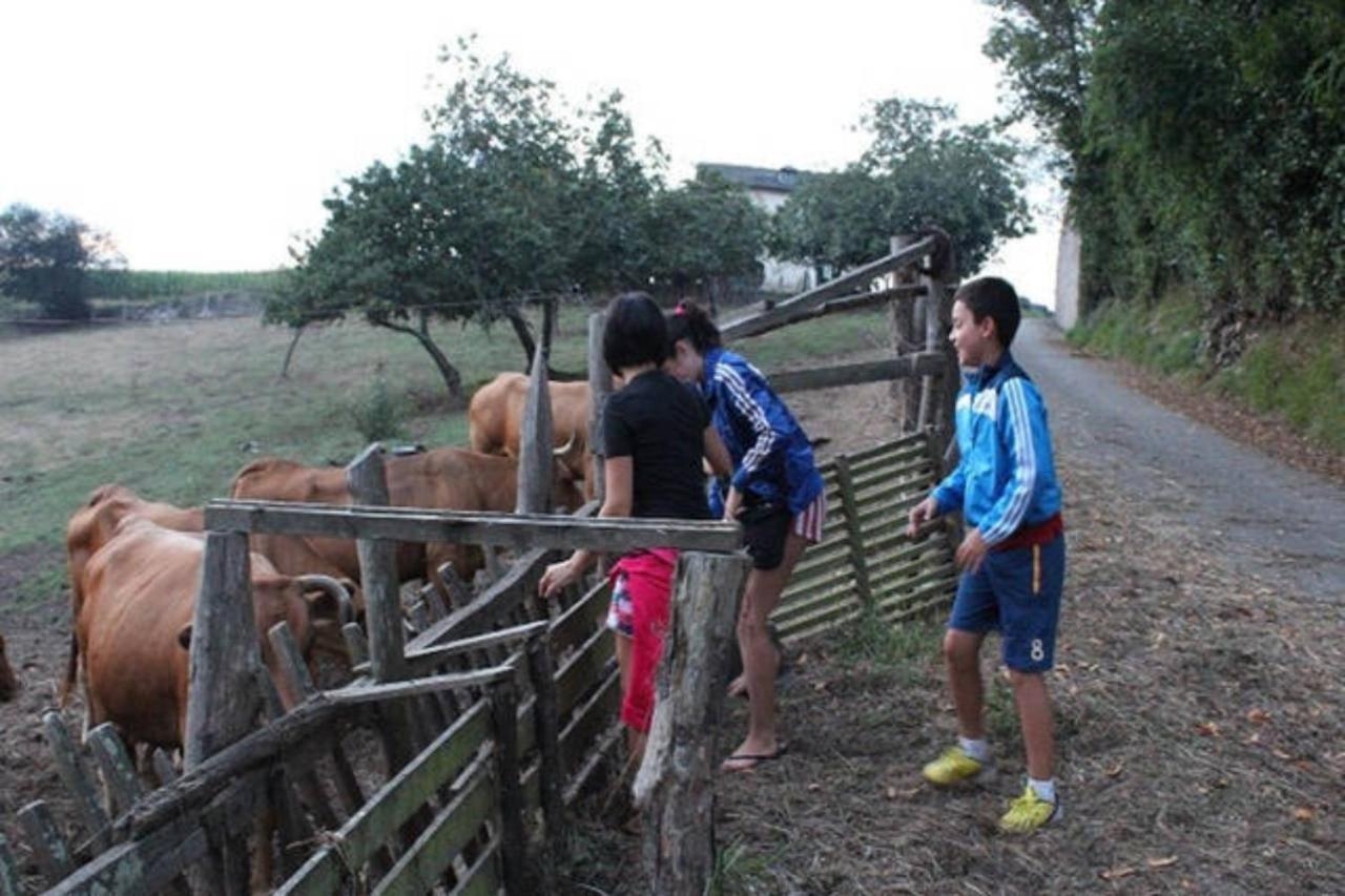 Las Golondrinas Casiellas Luaran gambar